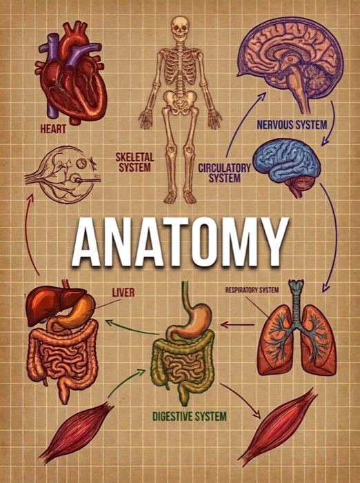 Anatomy cover